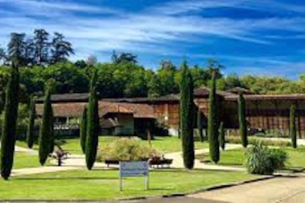 Studio 2 Lits Barbotan Les Thermes Cazaubon Exterior foto